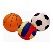 Волейбольные и баскетбольные мячи