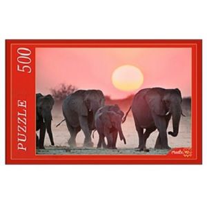 Пазлы 500 элементов  "Семейство слонов" (КБ500-7934)